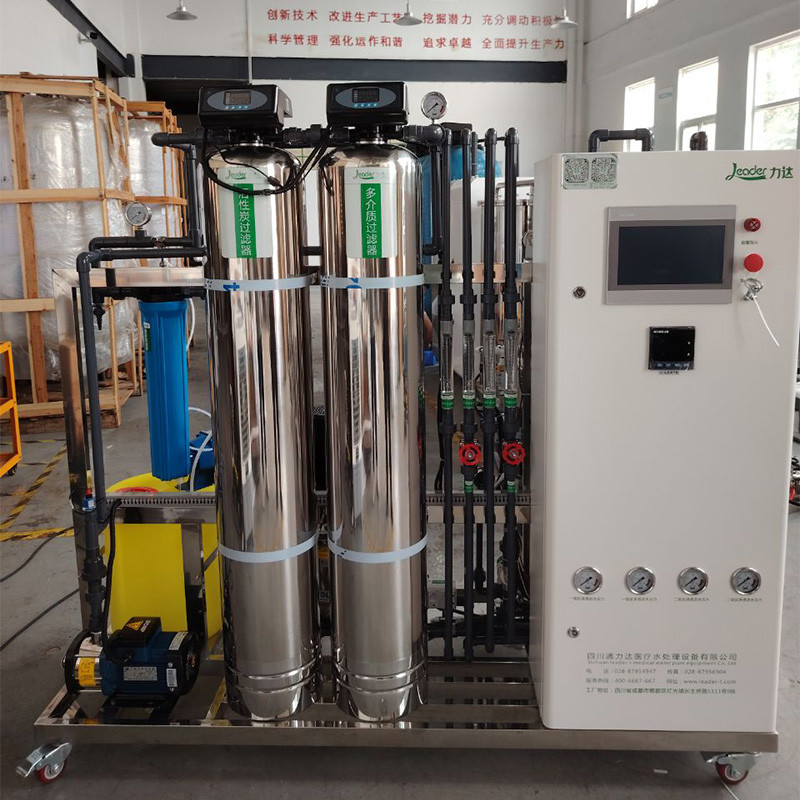 500 LPH capaciteit Double Pass EDI waterinstallatie uitgerust met Vontron/DOW/Toray Ro membraan