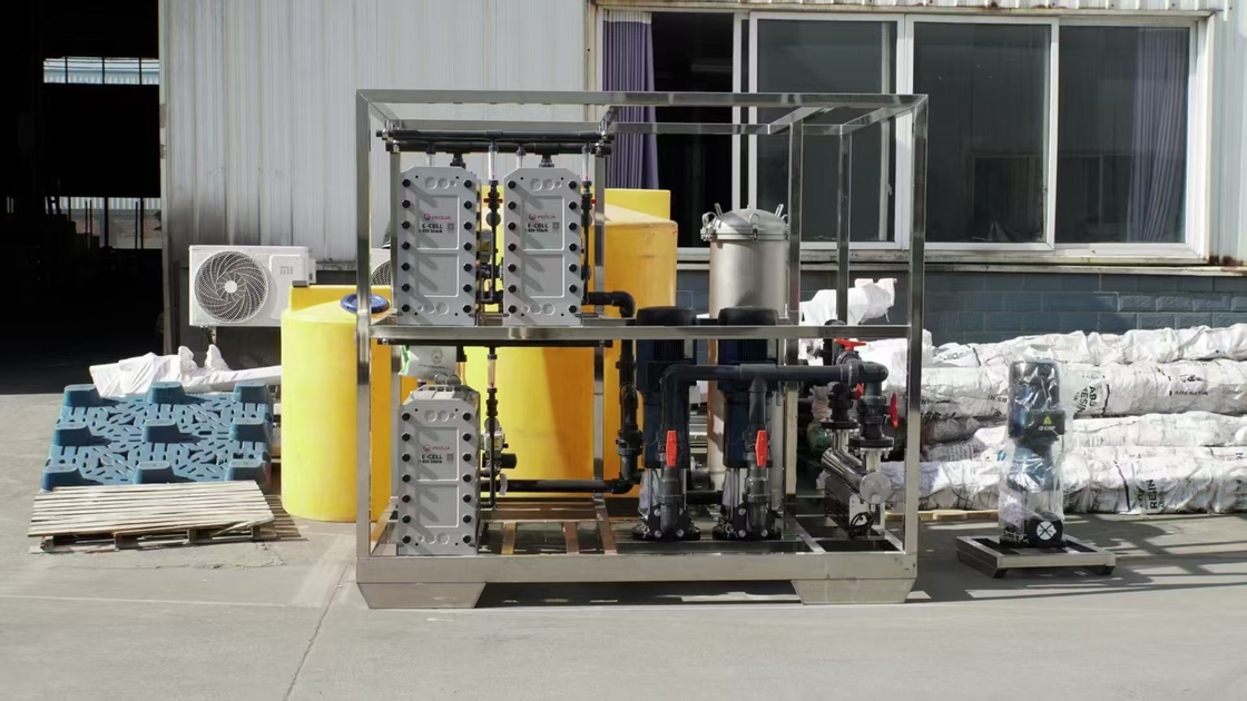 15 T per uur EDI ultra zuiver water systeem industrieel gebruik met 2-stap RO systeem