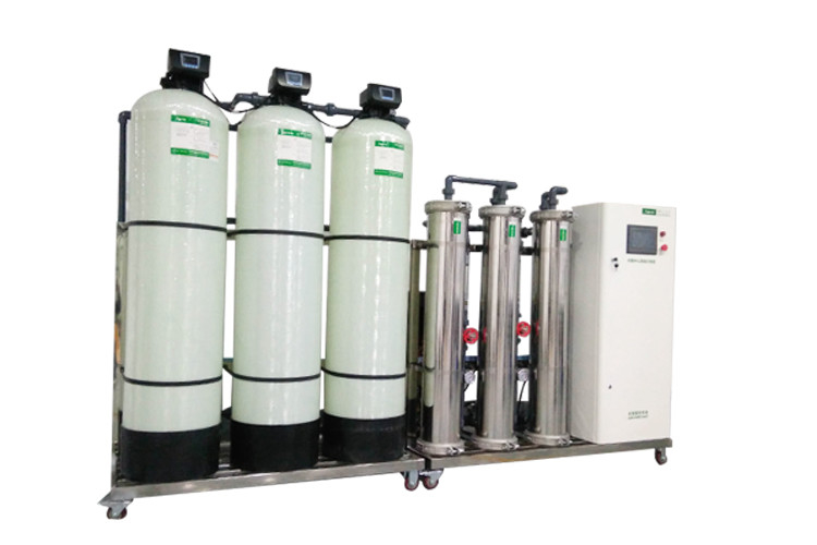Actief van de het Waterbehandeling van de Koolstoffilter Dubbel de Pasro Systeem 1000L/H